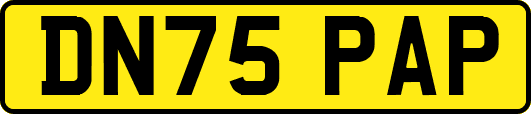 DN75PAP