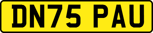 DN75PAU