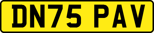 DN75PAV