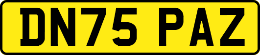 DN75PAZ