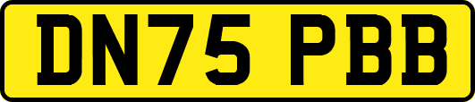 DN75PBB