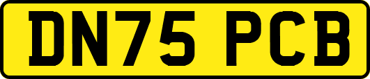 DN75PCB