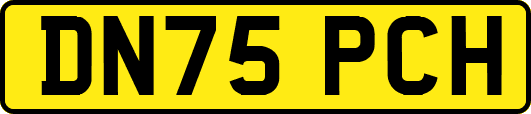 DN75PCH