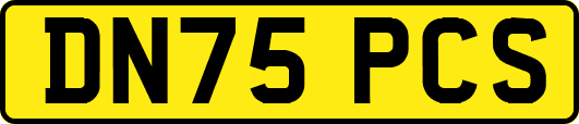 DN75PCS