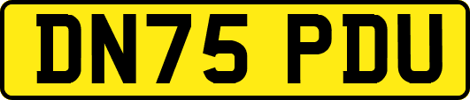DN75PDU