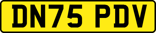 DN75PDV