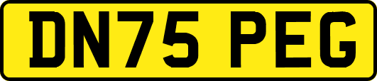 DN75PEG