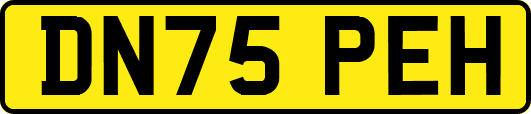 DN75PEH