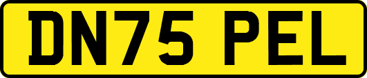 DN75PEL