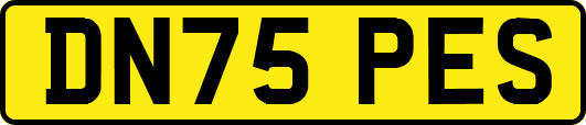 DN75PES