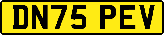 DN75PEV