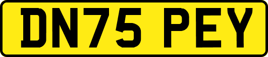 DN75PEY