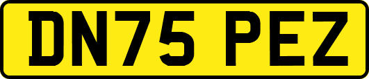 DN75PEZ