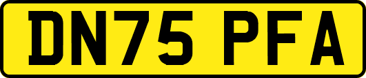 DN75PFA