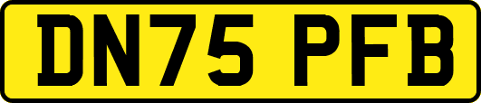 DN75PFB