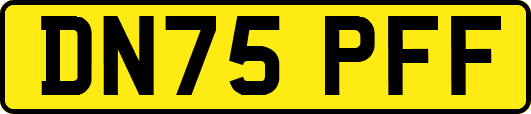 DN75PFF
