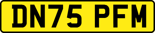 DN75PFM