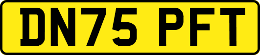 DN75PFT