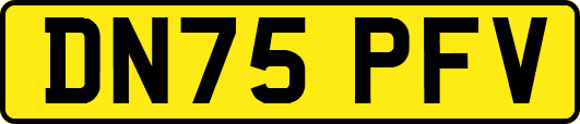 DN75PFV