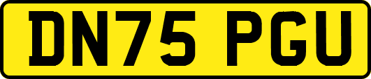 DN75PGU