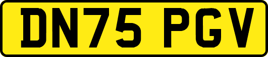DN75PGV