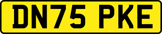 DN75PKE