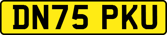 DN75PKU