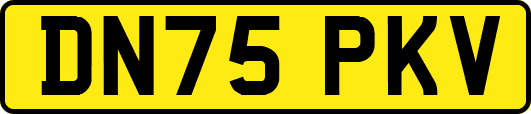 DN75PKV