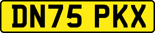 DN75PKX