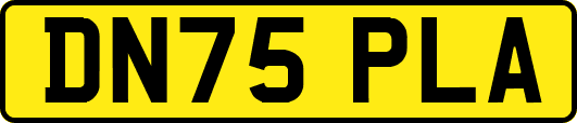 DN75PLA