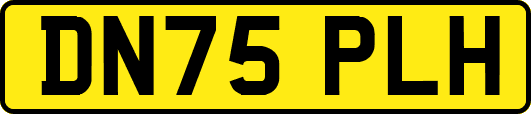 DN75PLH