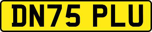 DN75PLU