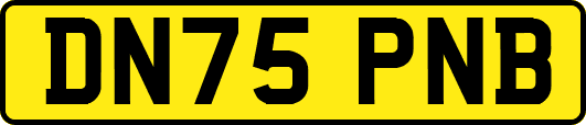 DN75PNB