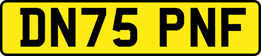 DN75PNF