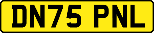 DN75PNL