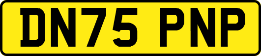 DN75PNP