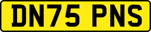 DN75PNS