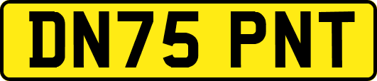 DN75PNT