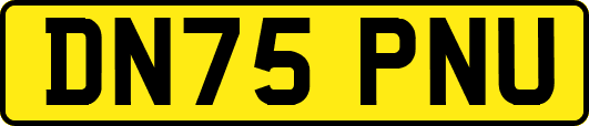 DN75PNU