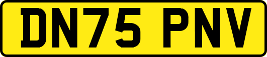 DN75PNV