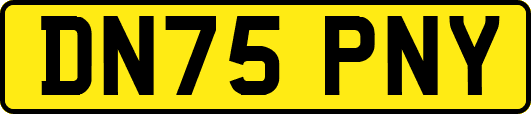 DN75PNY