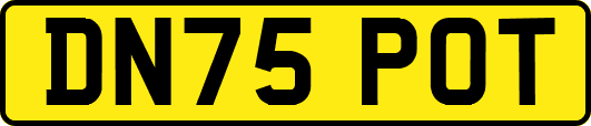 DN75POT