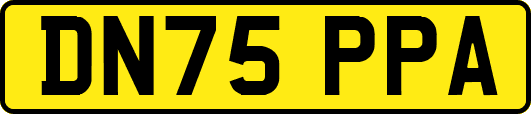 DN75PPA