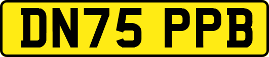 DN75PPB