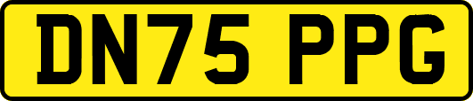 DN75PPG