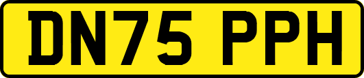 DN75PPH