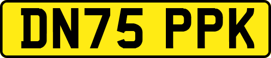 DN75PPK