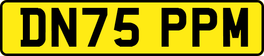DN75PPM