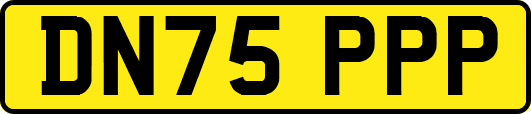 DN75PPP