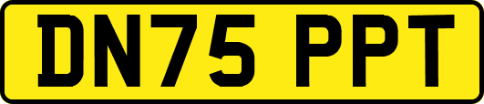 DN75PPT